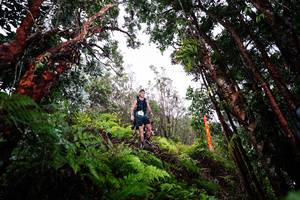 BIB: 
                            <button type="button" onclick="openModal(26202461)" class="btn btn-primary btn-sm float-right btn-popup" data-toggle="modal" data-target=".modal-high-quality">
                        <i class="fas fa-shopping-cart"></i> Add to Cart
                    </button>
                                            <button type="button" onclick="isThisMe(26202461, true)" class="btn btn-success btn-sm float-right btn-popup btn-isme hidden" data-toggle="tooltip" data-placement="bottom" title="นี่คือรูปของคุณใช่ไหม คลิกที่นี่เพื่อเอาเข้าอัลบั้ม">
                        <i class="fas fa-plus"></i> Add to album
                    </button>
                    <button type="button" onclick="isThisMe(26202461, false)" class="btn btn-warning btn-sm float-right btn-popup btn-isnotme hidden">
                        <i class="fas fa-ban"></i> Remove from album
                    </button>